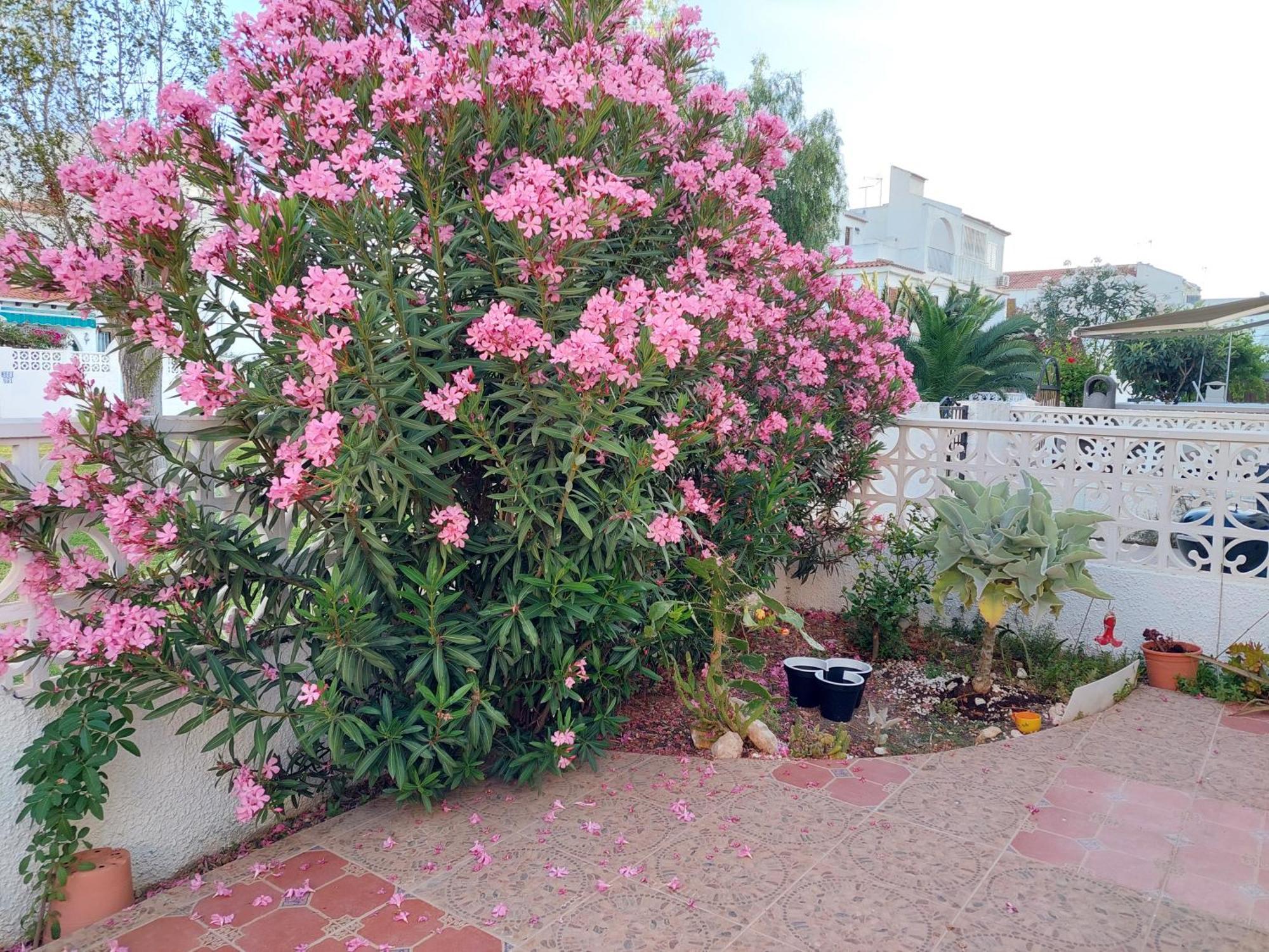 Haus Am Meer Torrevieja Luaran gambar
