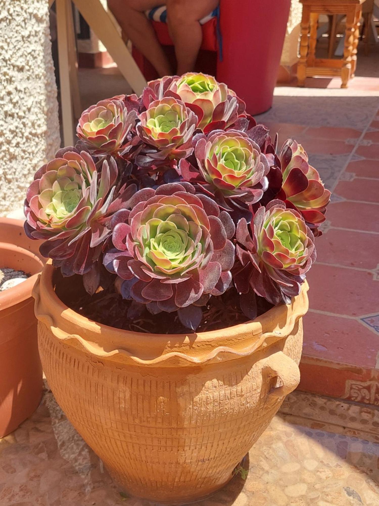 Haus Am Meer Torrevieja Luaran gambar